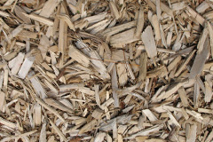 biomass boilers Lionacuidhe