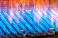 Lionacuidhe gas fired boilers